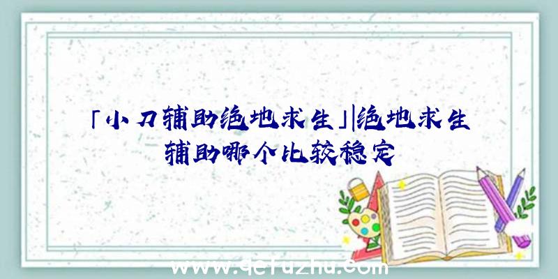 「小刀辅助绝地求生」|绝地求生辅助哪个比较稳定